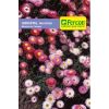 Semialla de Acrolinio Inmortal Mezcla -  Plantas Ornamentales