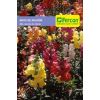 Semilla de Boca de Dragón Mezcla de Colores -  Plantas Ornamentales