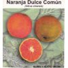 Naranja Común Semillas en  Agrofertas®