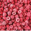 Fruta Congelada de Mora -  Productos empacados