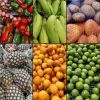 Línea Fruver -  Productos empacados