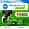Permaxion 31-8-8 - Fetilizante completo -  Abonos y Fertilizantes