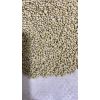 Semillas Importadas de Brachiarias -  Semillas de Pasto