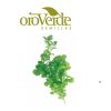 Semilla de Cilantro Long Stading -  Semillas de hortalizas