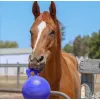 JOLLY BALL 10" JUGUETE PARA CABALLOS -  Accesorios para caballistas