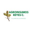 REYES CONSULTORES SAS