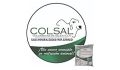 Colsal Colombiana de Sales SAS